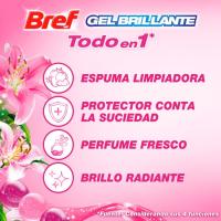 Gel brillante primavera BREF, pack 2 uds