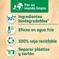 Detergente en cápsulas WIPP POWER FLORAL, bolsa 33 dosis
