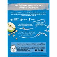 Papilla de arroz, avena y manzana GERBER, caja 250 g