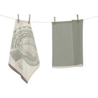 Paño cocina rizo 100% algodón 45x45cm, 4 modelos ¿cuál te llegará? A.MIRO, 2 uds