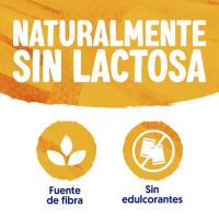 Meal to go sabor chocolate y plátano, botella 530 g