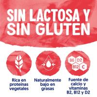 Producto de soja, manzana y frambuesa ALPRO, tarrina 400 g