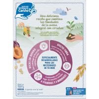 Papilla de avena integral con ciruela NESTLÉ EXPERT, caja 250 g