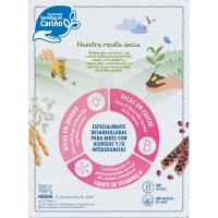 Papilla sin lactosa de arroz-algarroba NESTLÉ EXPERT, caja 250 g