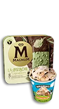 Productes Gelats Magnum