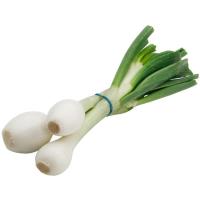 Cebolleta HUERTO ENCANTADO, 1 manojo