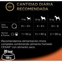 Tarrina de carne para perro CÉSAR, pack 4x150 g