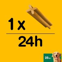 Dentastix gos petit PEDIGREE, paquet 440 g