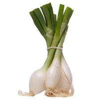 Cebollas tierna CONCA, manojo 3 uds
