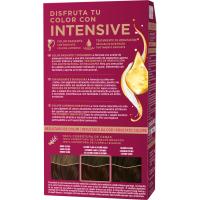 Tinte Intensive N.4.6 castaño marrón PALETTE, caja 1 ud