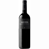 Vino Montsant Negre SANTES, botella 75 cl