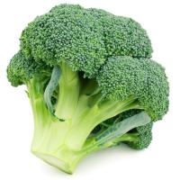Brócoli ecológico, pieza aprox. 500 g Brócoli ecológico, pieza aprox. 500 g