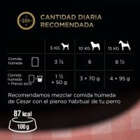 Delicias en salsa sabores para perro CESAR, pack 4x100 g