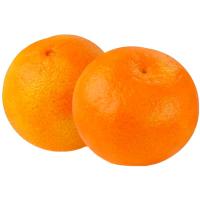 Mandarina TERRES DE L'EBRE, al pes, compra mínima 1 kg