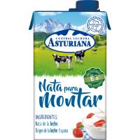 Nata muntada 38% mg ASTURIANA, brik 500 ml