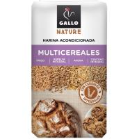 Farina multicereals nature GALLO, paquet 900 g