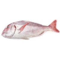 Pargo entero y limpio de crianza, al peso, compra mínima 800 g