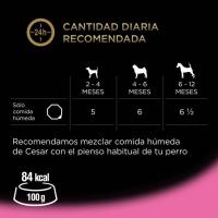 Alimento con pavo-ternera para cachorro CESAR, tarrina 150 g