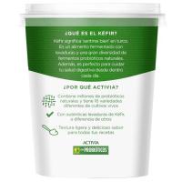 Kéfir natural ACTIVIA, tarrina 420 g