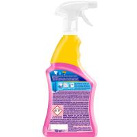 Quitamanchas desengrasante en spray VANISH, pistola 750 ml