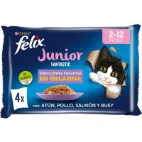 Júnior FELIX FANTASTIC, pack 4x85 g