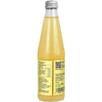 Kombucha de piña y hierbabuena VIVER KOMBUCHA, botellín 330 ml