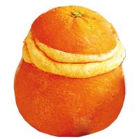 Helado sabor naranja en su cáscara NORDWIK, 1 ud, 90 g