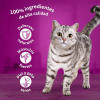 Gelatina d'ocells per a gat WHISKAS, pack 4x85 g