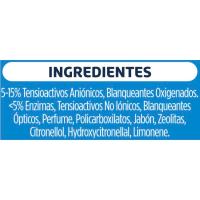 Detergente en polvo SKIP CLEAN, maleta 35 dosis