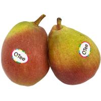 Pera QTEE, al peso, compra mínima 1 kg