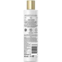 Xampú cactus PANTENE pro-V Miracles, pot 250 ml