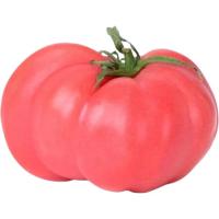 Tomàquet rosa, al pes, compra mínima 500 g