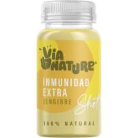 Zumo limón, manzana y jengibre VIANATURE, botella 100 ml