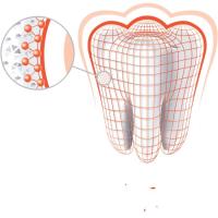 Dentífrico anticaries ELMEX, tubo 75 ml