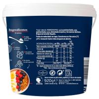 Yogur griego natural DANONE, tarrina 950 g