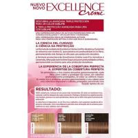 Tinte rubio claro claro ceniza N.9.1 EXCELLENCE, caja 1 ud