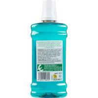 Enjuague bucal frescor verde EROSKI BASIC, botella 500 ml